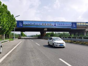 国花学校南邻跨路广告牌